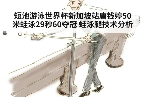 短池游泳世界杯新加坡站唐钱婷50米蛙泳29秒60夺冠 蛙泳腿技术分析