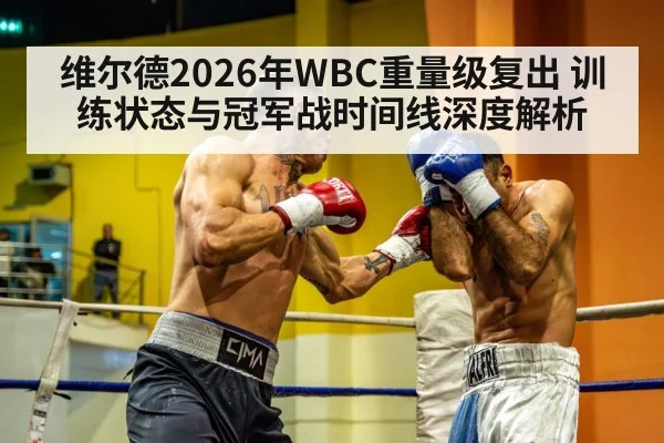 维尔德2026年WBC重量级复出 训练状态与冠军战时间线深度解析